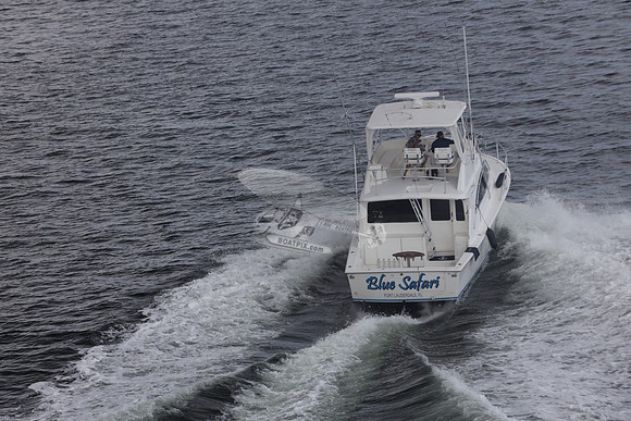 blue safari.laud.ocean.15