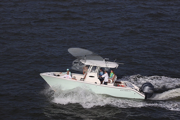 COBIA.LT BLUE HULL.338