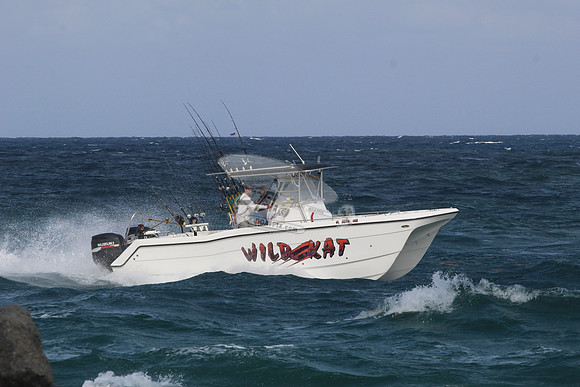 fl5599mu.wild kat.1687