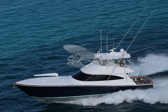 fins up.5879