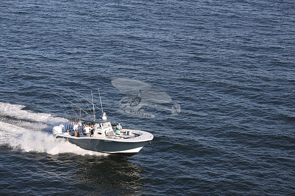 NJ1445HP.22