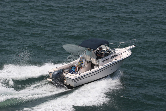 fl8366tm.01