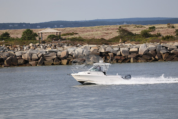 ms7202bx.3