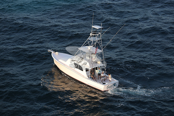 BUZZ ON.ISLAMORADA FL.12