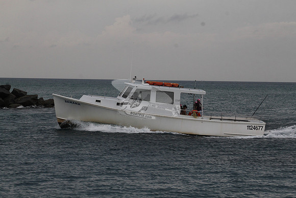 1124677.SAMANA.06
