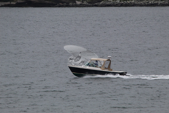 Beagle.07