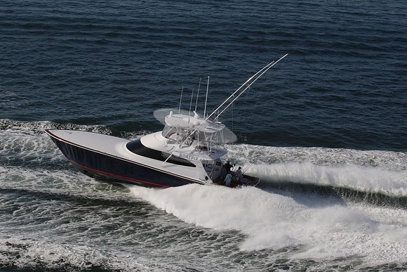 Blue Viking.4