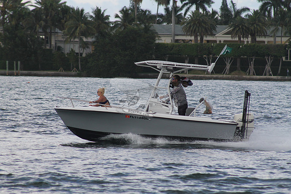 FL1184GL.08