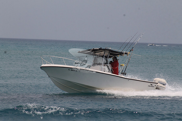FL0078GL.43