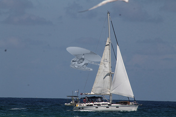 ANCHOR MANAGEMENT.13