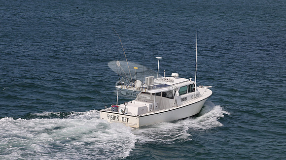 1150151.FISHIN OFF.04