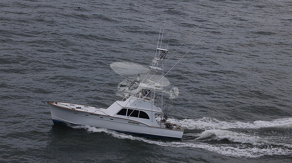 ballie who iii.islamorada fl.9508
