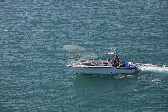 conch flyer.8273