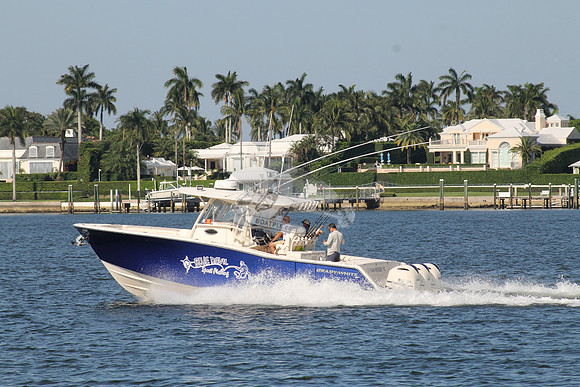 BLUE DEVIL.OCEAN RIDGE FL.GRADY WHITE.14