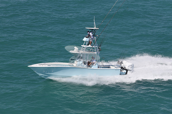 conch.jorlgrave.3 white 400 merc.6337