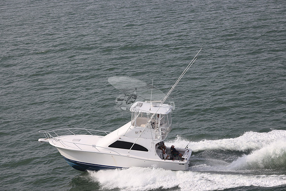 BARE OL CUDA.INDIAN RIVER DE.LUHRS.08