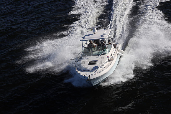 ACCI-DENTAL.JAX FL.ROBALO.20