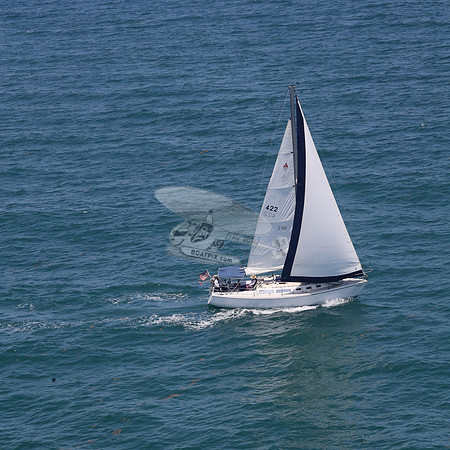 422.FL8313SN..SPIRIT OF THE WIND.22