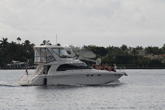 FL5355RR.DIAMOND D.5