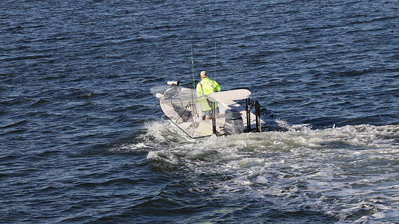 FL9081SF.06