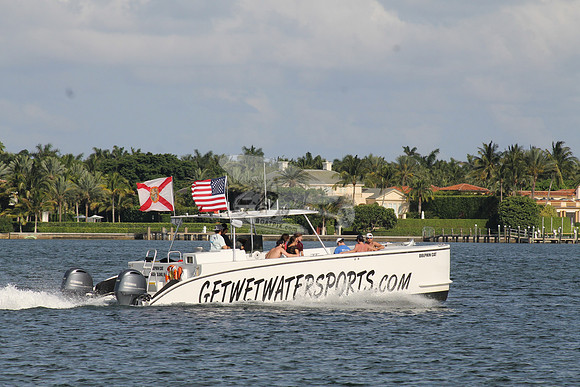 DOLPHIN CAT.SINGER ISLAND FL.09