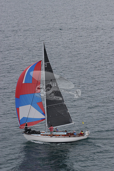 42.albacore.6308