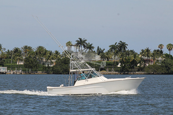 FISH HAPPENS.LANTANA FL.TOPAZ.08