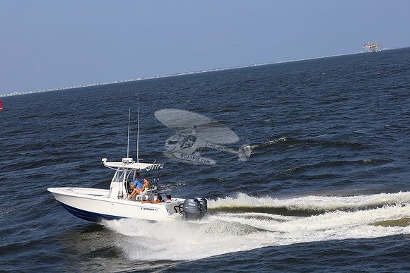 al0250LT.contender.07