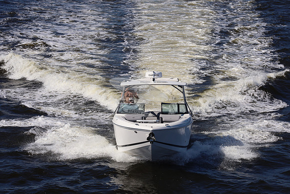 cobalt.2 yamaha.24