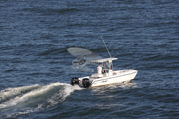 dl3887s.sea cat.9482