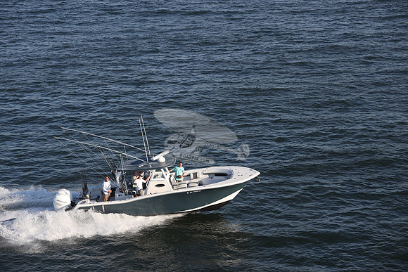NJ1445HP.18