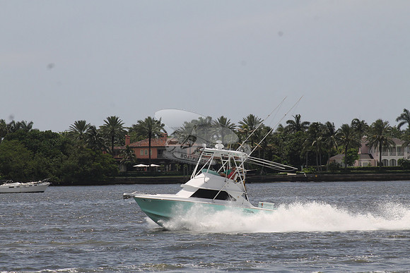 Bertram 28 green.04