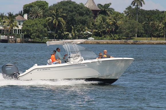 COBIA.08