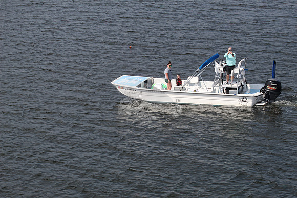 fl0310px.2
