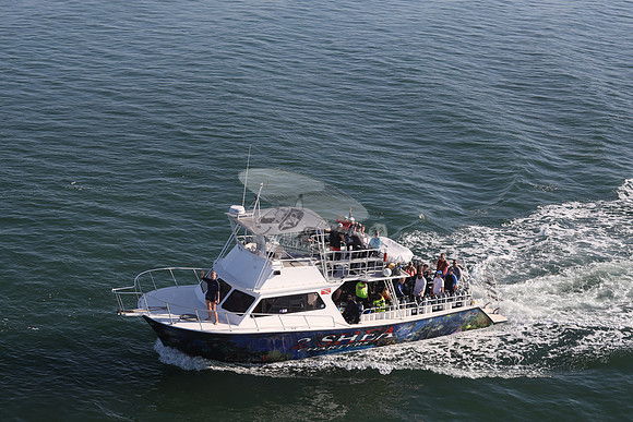 2 shea charters.clearwater fl.0196