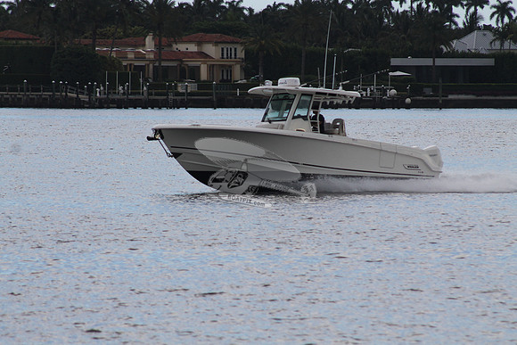BOSTON WHALER.01