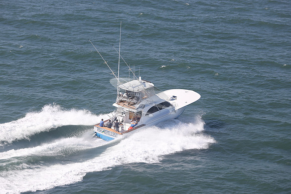 fish repellent.ocean city md.9355