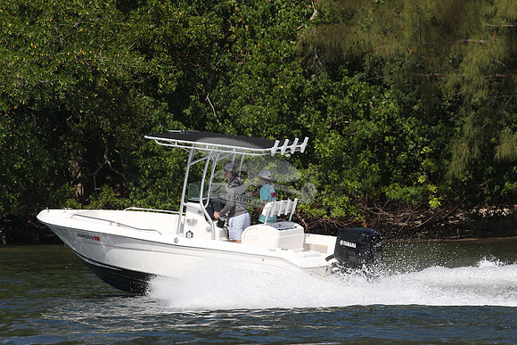 FL8017PR.5