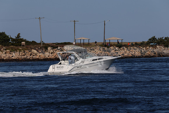 ms8069ms.4