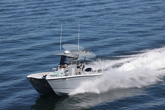 FL8410TH.20