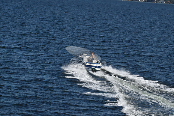 FL0011SM.1 (2)
