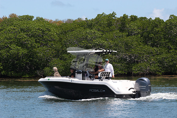 robalo.r222.0152