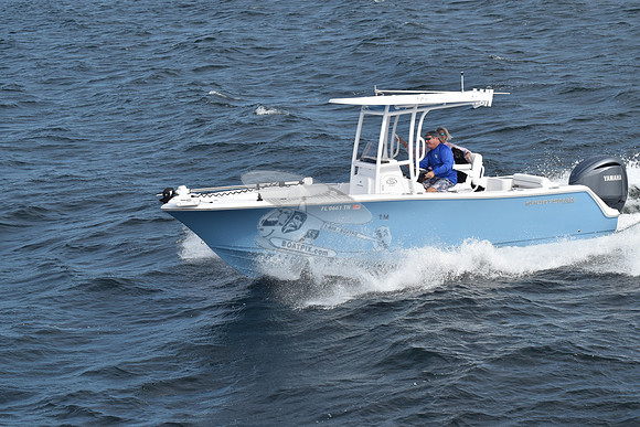 FL0661TN.4 (2)