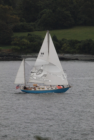 98.wren.2