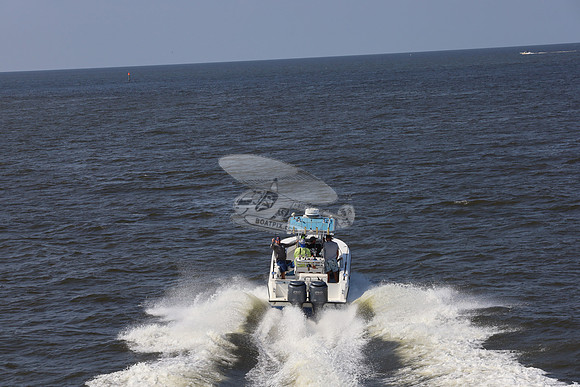 al0065rf.03