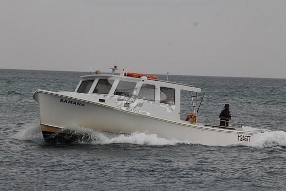1124677.SAMANA.01