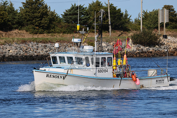 resolve.east sandwich.1