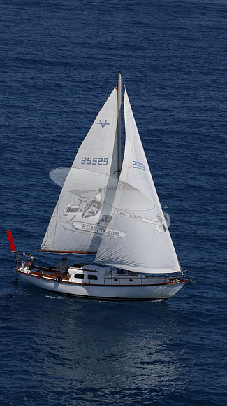 25529.AL0021RS.10