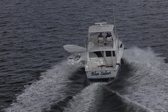 blue safari.laud.ocean.14