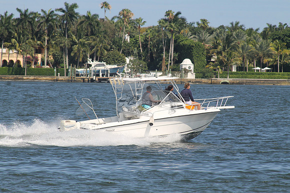 ANGLER.12